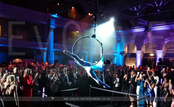 LED-Aerial-Hoop-4