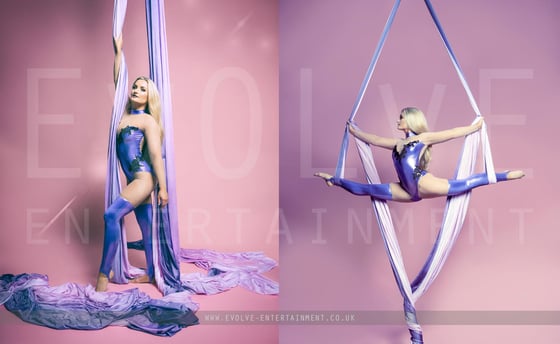 Lilac Dreams Aerial Silks 1