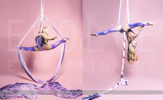 Lilac Dreams Aerial Silks 2
