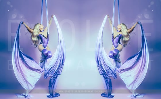 Lilac Dreams Aerial Silks 3