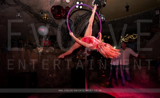 Lust Freestanding Aerial Hoop 1
