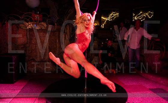 Lust Freestanding Aerial Hoop 2