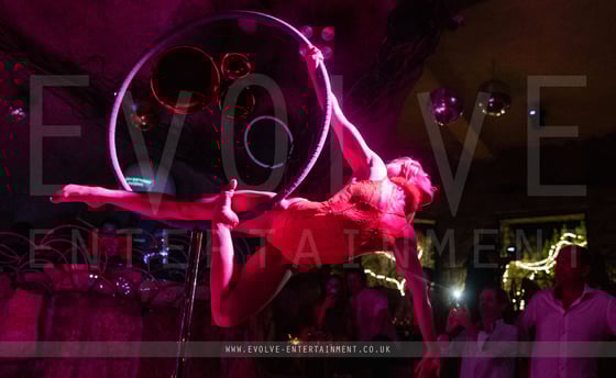 Lust Freestanding Aerial Hoop 4-2