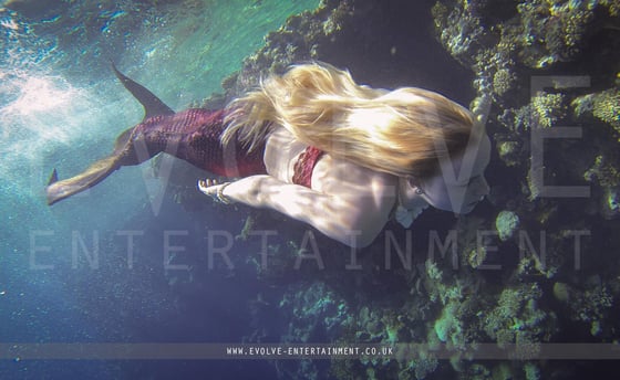 Mermaid-1