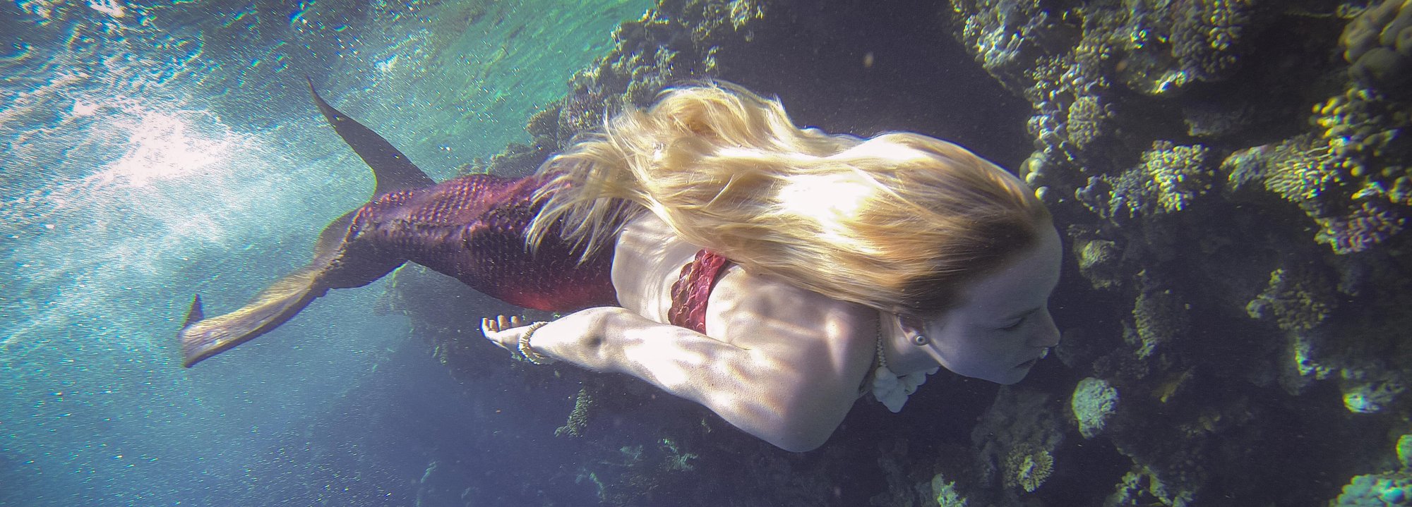 Mermaid-Hero-1