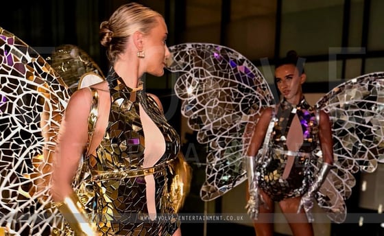 Mirror Butterflies - 1 