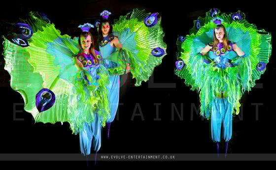 Peacock Costume.