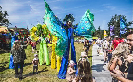 Peacock Stilts 1 Festival JCB