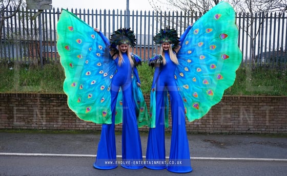 Peacock-Stilt-Walkers 2-1