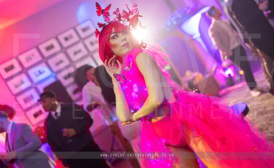 Pink Butterfly - Enchanted 1