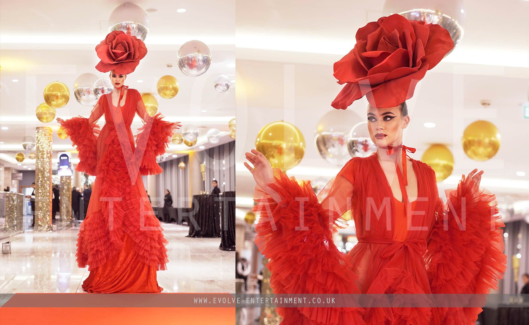 Red Carpet Rose 2