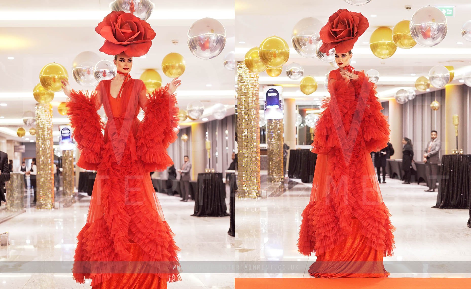 Red Carpet Rose 3