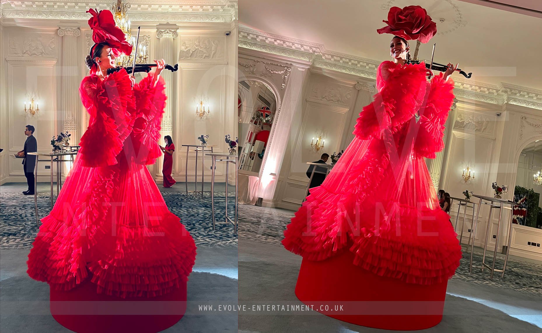 Red Rose Violin 2