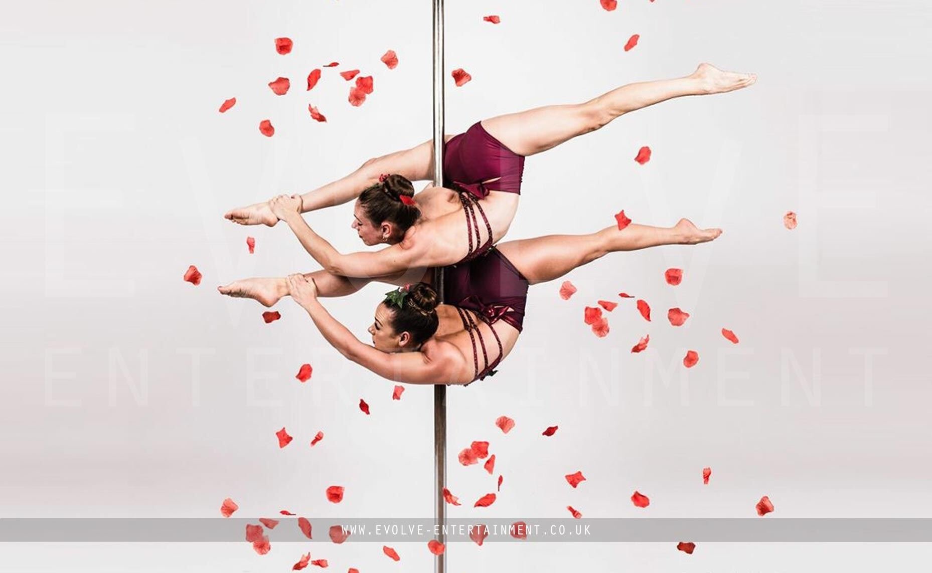Rose-Petal-Pole4