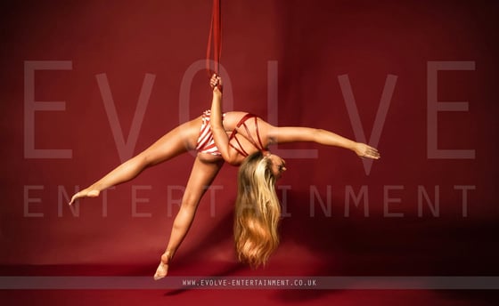 Sassy Aerial Staps 3