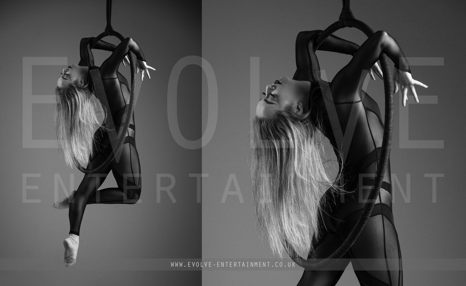 Sheer Aerial Hoop 1