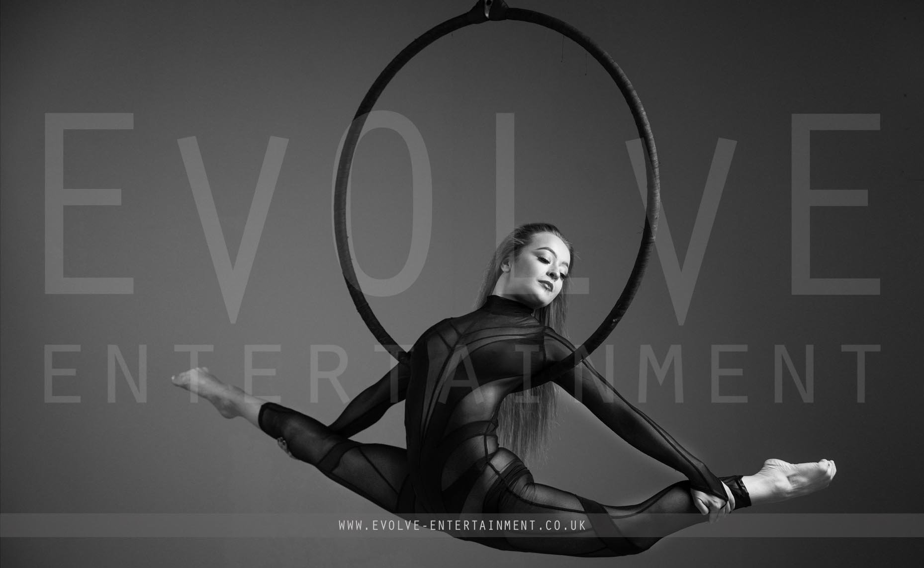 Sheer Aerial Hoop 2