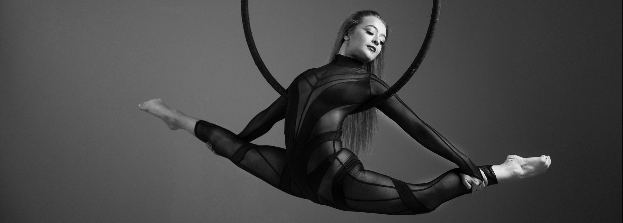 Sheer Aerial Hoop HERO
