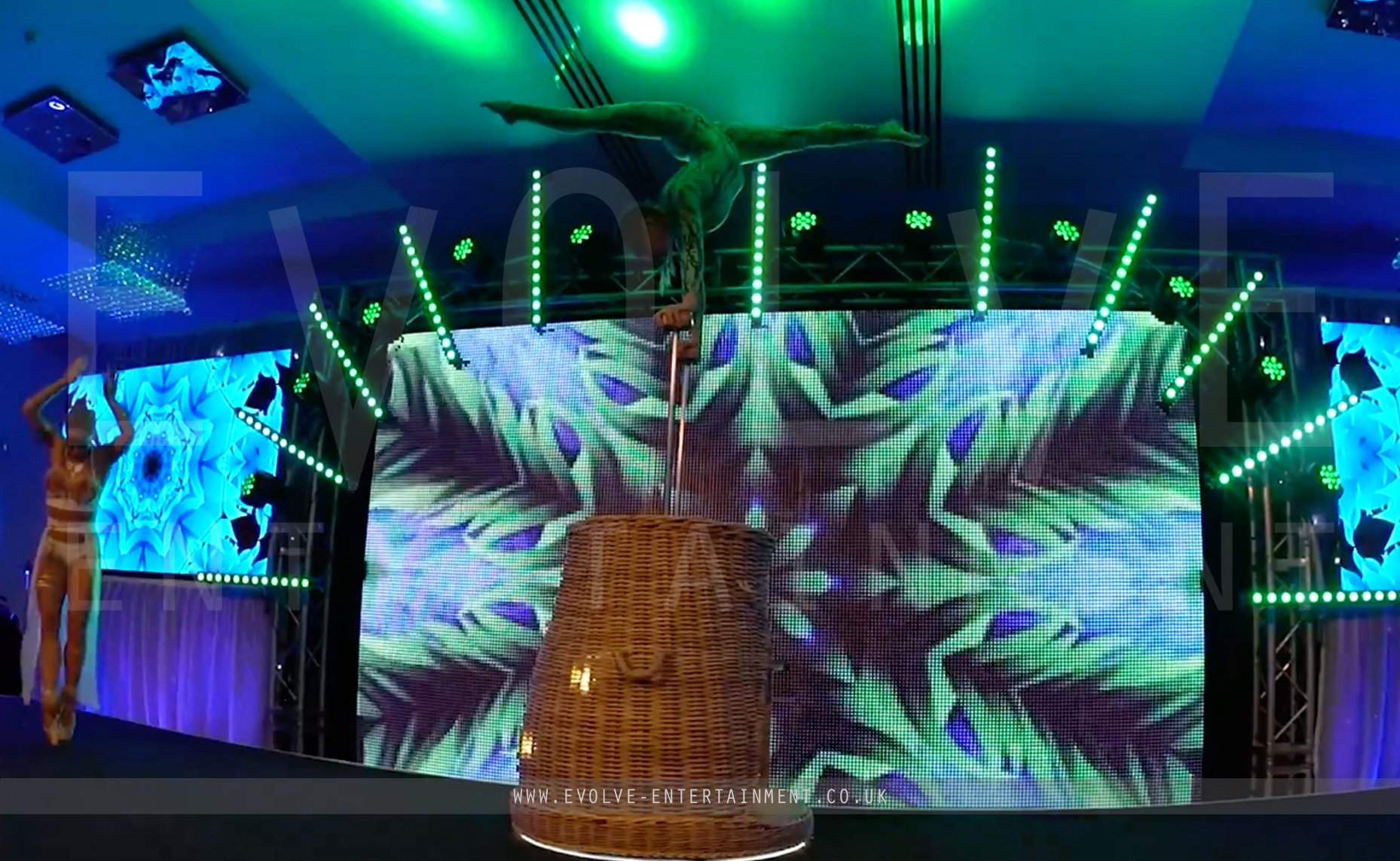 Snake Basket Carnival Show 1