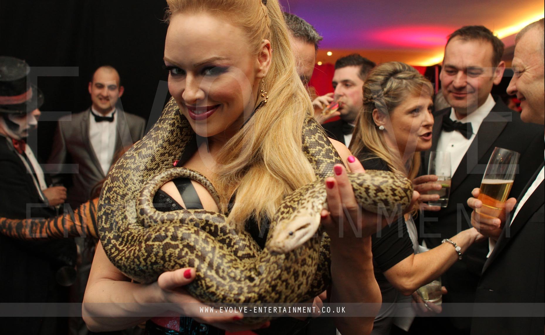 Snake-2