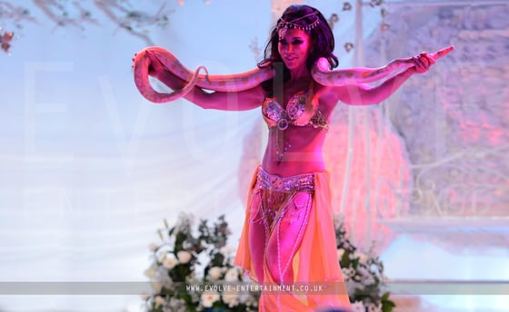 Snake-Belly-Dance4