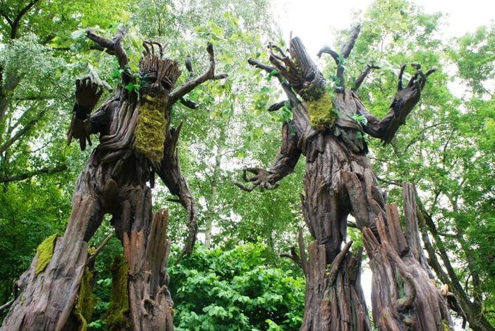 Stilt-Tree-Walker-THUMB