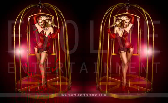 The Golden Burlesque Birdcage 1