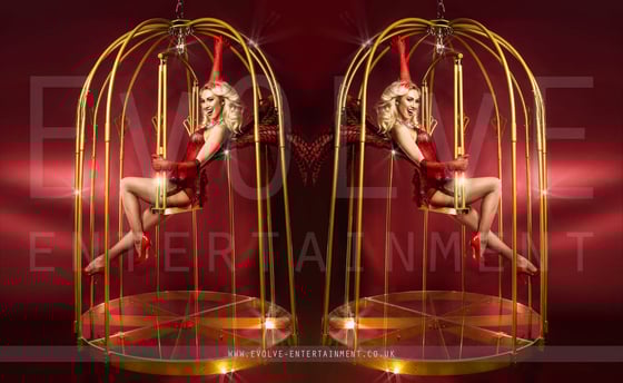 The Golden Burlesque Birdcage 3
