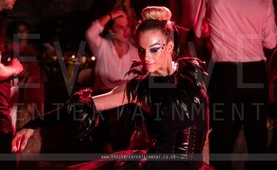 The-Black-Swan-10