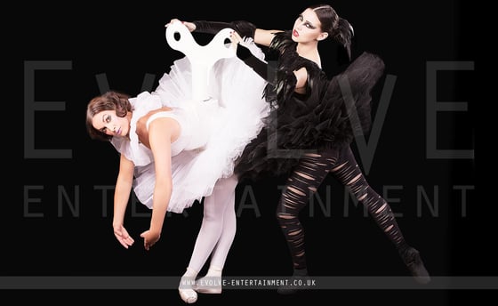 The-Black-Swan-2