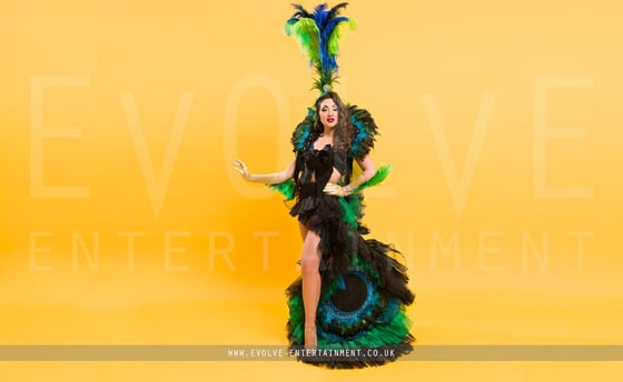 The-Carnival-Peacock-2-1