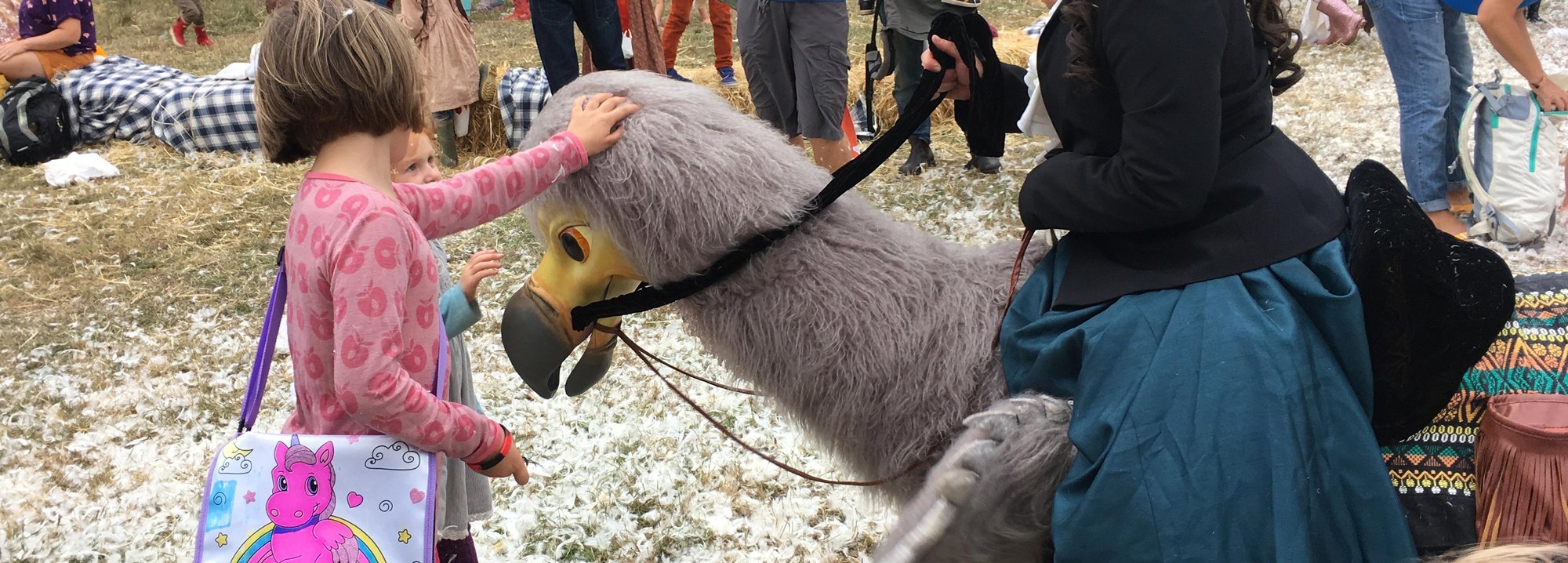 The-Dodo-HERO