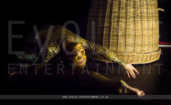 The-Snake-Basket-Contortionist-1