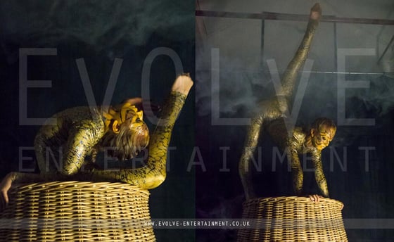 The-Snake-Basket-Contortionist-2