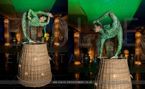 The-Snake-Basket-Contortionist-3