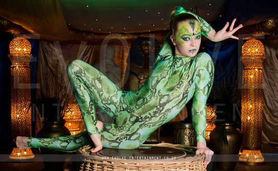 The-Snake-Basket-Contortionist-4