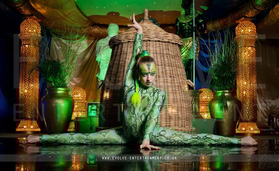 The-Snake-Basket-Contortionist-5