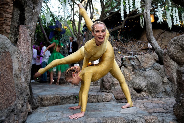 Thumbnail Golden Contortion