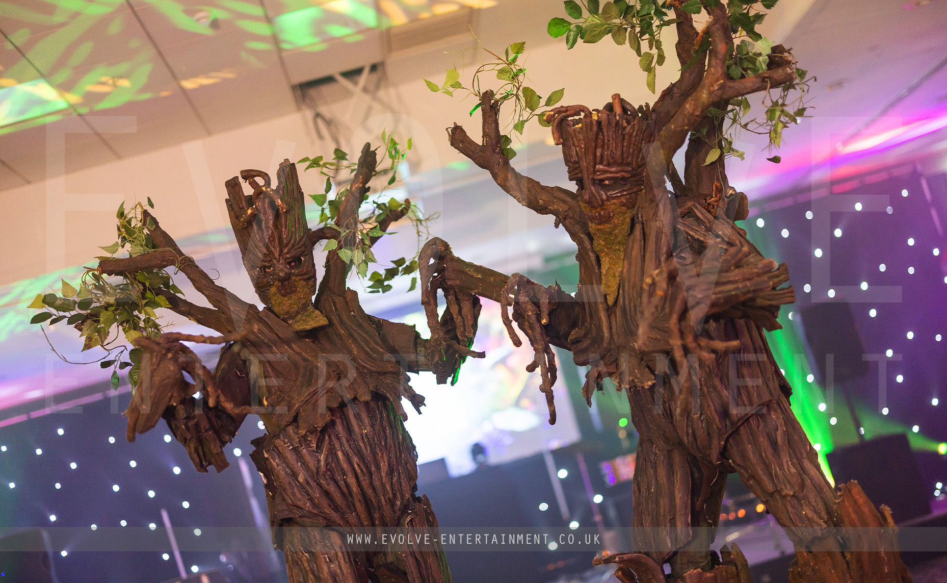 Trees - Enchanted 1-1