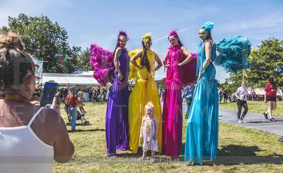 Tropial Birds Group Festival JCB