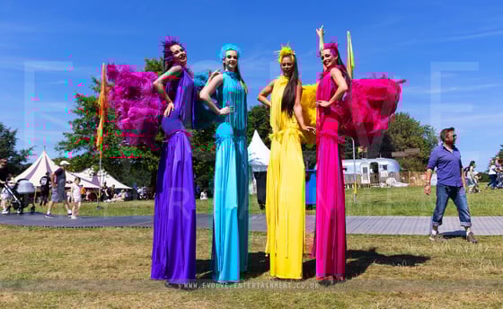 Tropical Bird Stilts - 1
