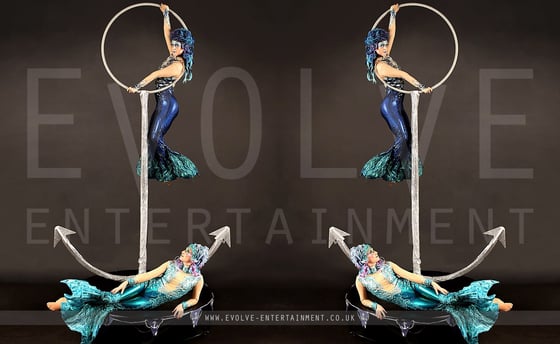 Under the seafreestanding aerial hoop