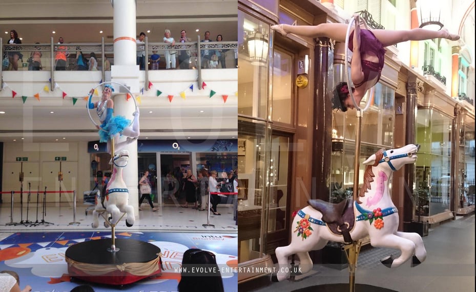 circus carousel aerial hoop