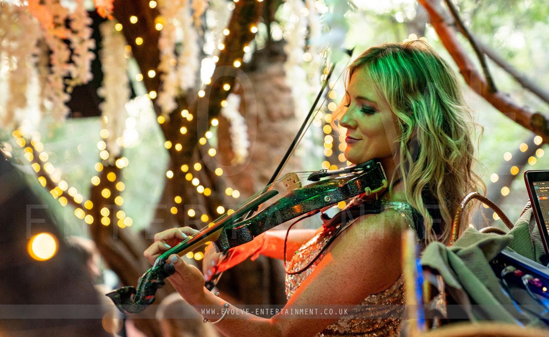 Violin
