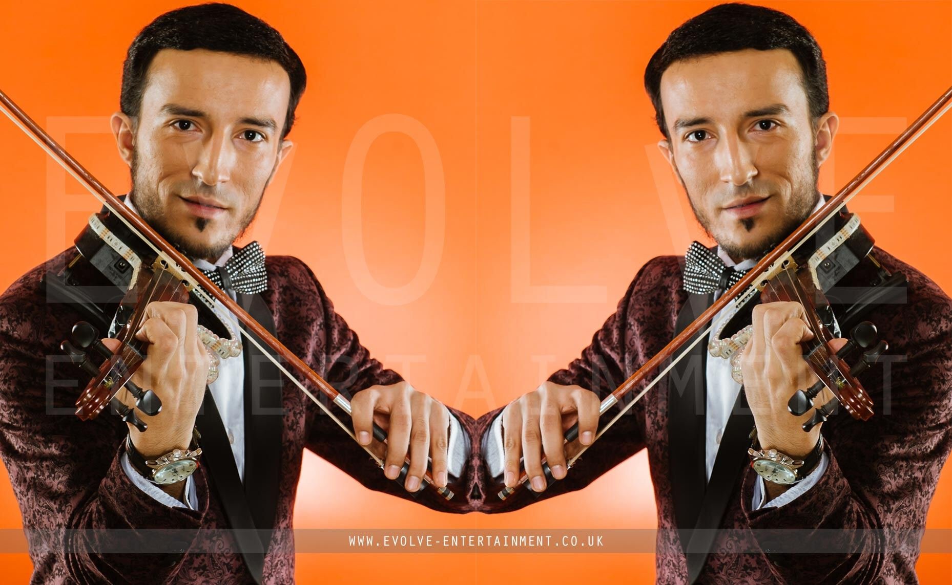 Wedding-Violin-2