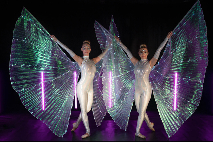 LED Winged Ballerinas T